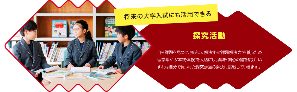 将来の大学入試にも活用できる