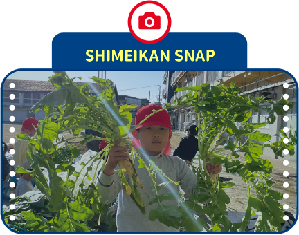 SHIMEIKAN SNAP